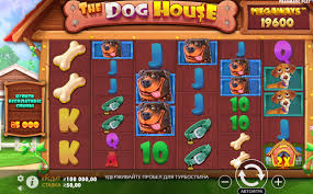 도그하우스슬롯 당신의 새로운 슬롯 경험